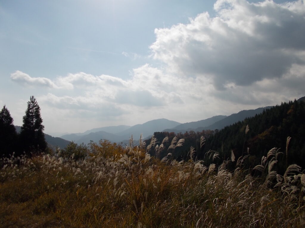 12：17　林道から見える風景。