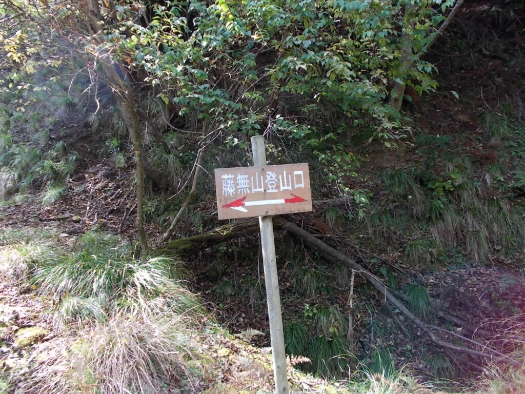 12：30　林道分岐