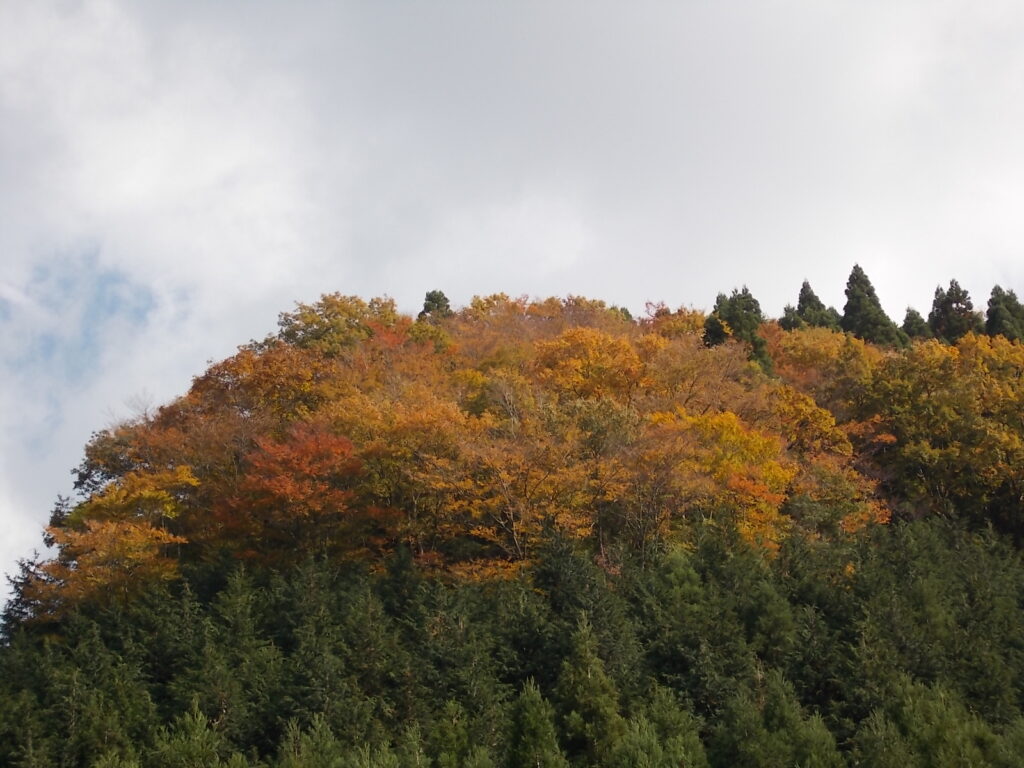 12：31　ようやく太陽が出てきて、明るくなりました。