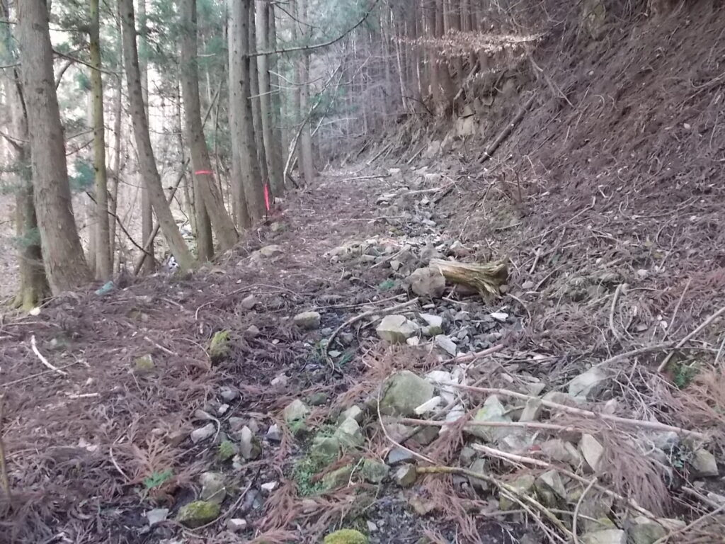 10：26　登山道の様子。この辺りはまだマシです。