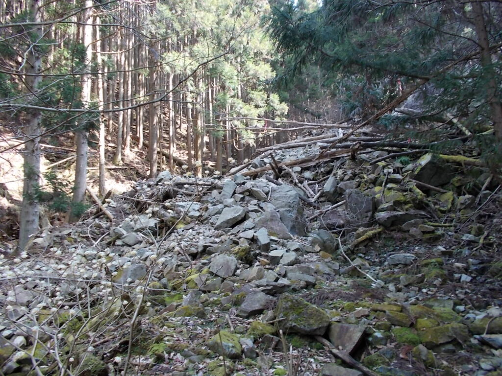 10：29　相当傷んだ登山道。もはや道とはいえません。