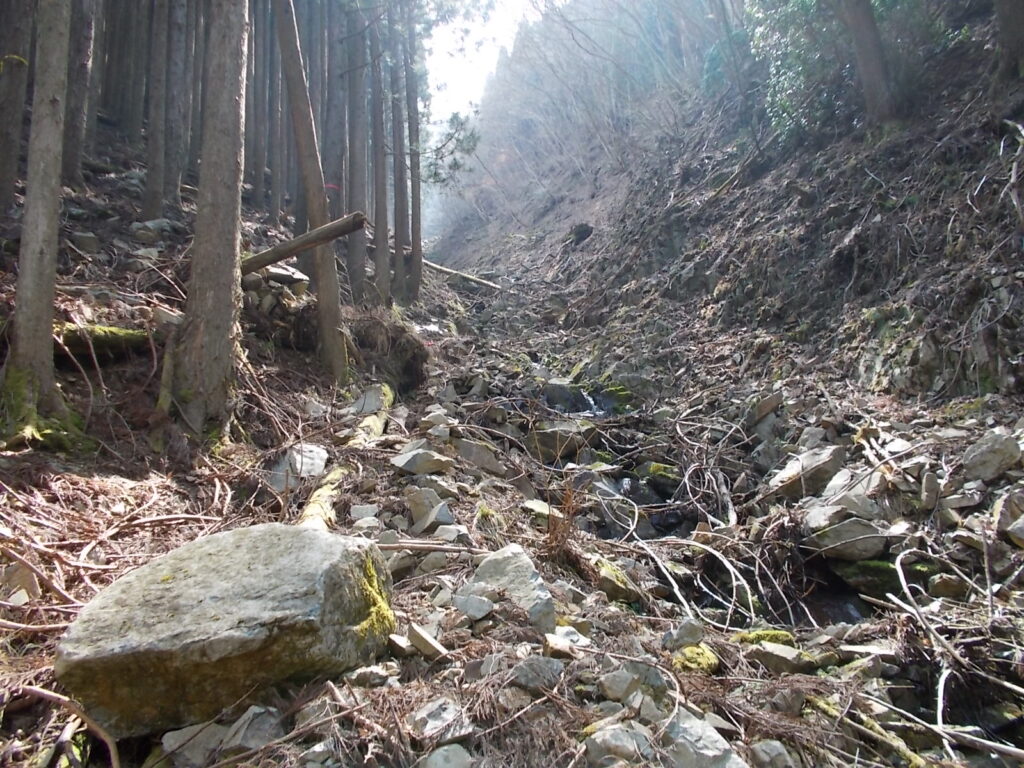 10：31　ピンクのリボンがたくさんある沢。ほんとの登山道はまだ先のようですが、間違ってここから上り始めました。最初は緩やかなんですが、徐々に厳しくなっていきます。