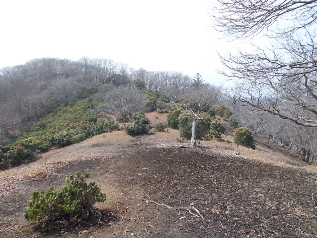 11：16　展望のよい所に出ました。