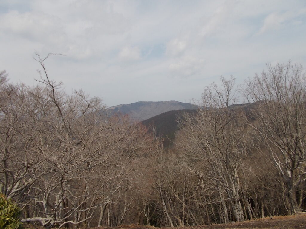 11：17　ここからは千町ヶ峰がよく見えます。この山は帰りの目標になりますので、覚えておいた方がいいです。