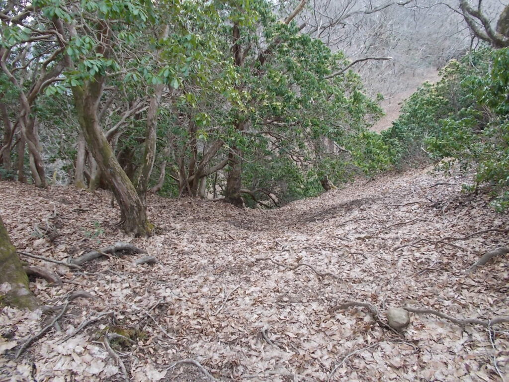 11：43　強烈な下りに出会いますが、これを降りるのではなく、右の斜面を迂回していきます。