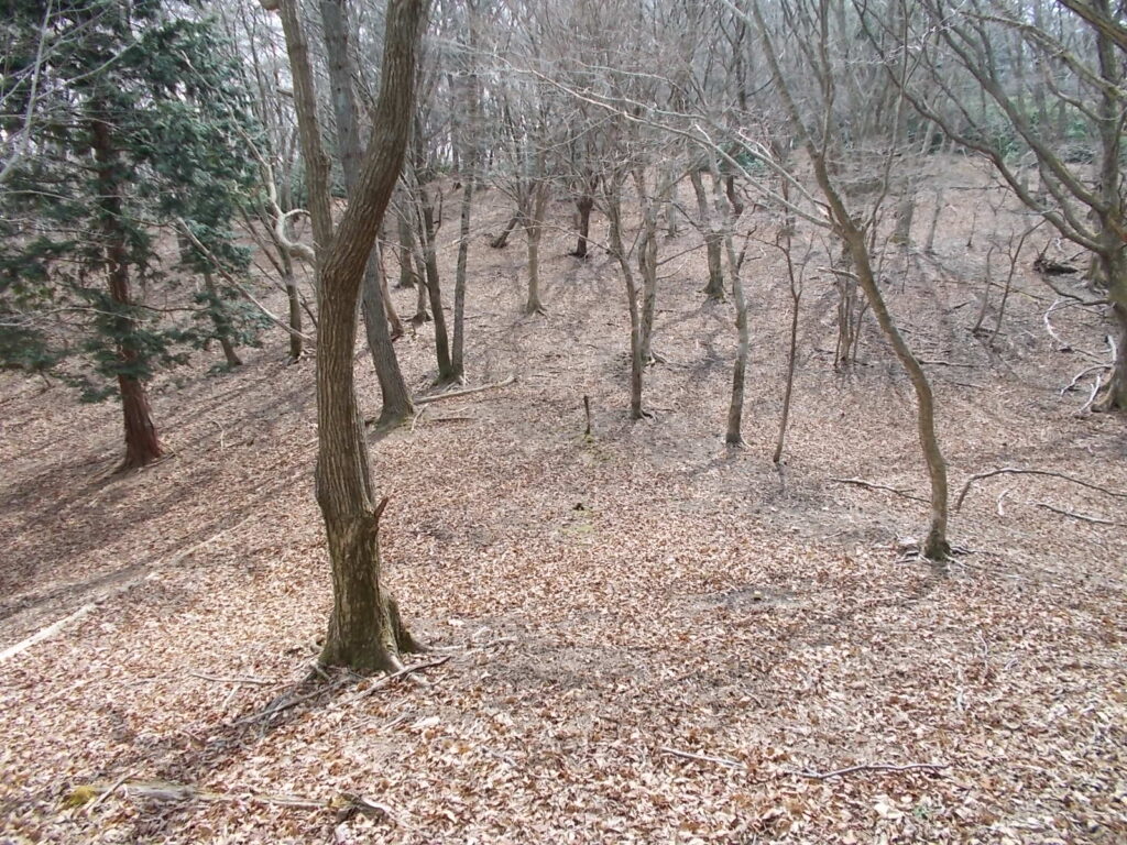 11：47　明るい鞍部。ここから少し上ります。