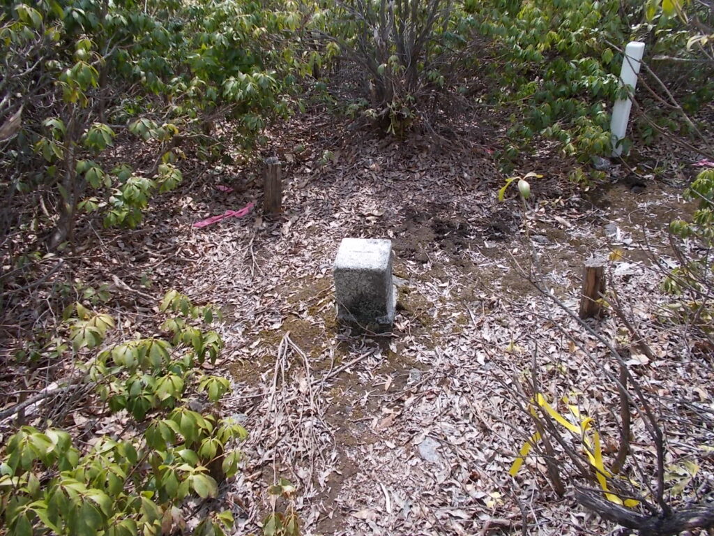 11：55　高星山の三角点