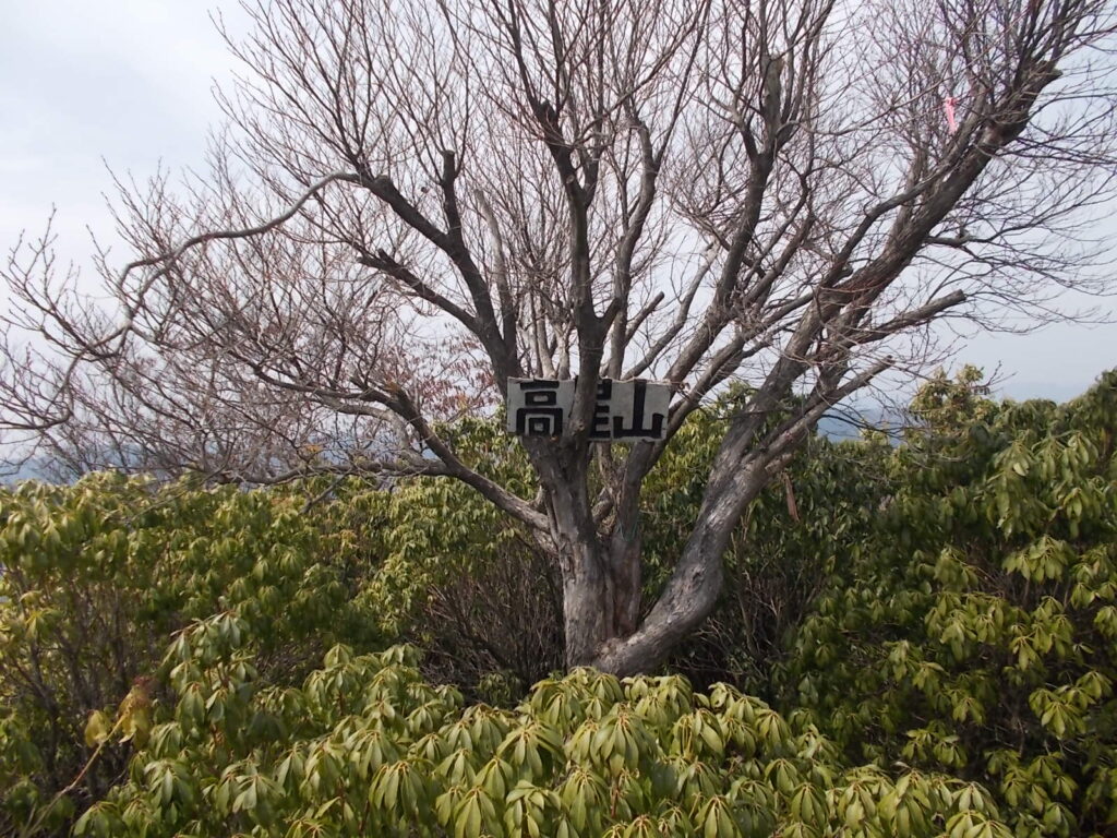 11：55　高星山に着きました。が展望があまりないので、すぐに戻ります。