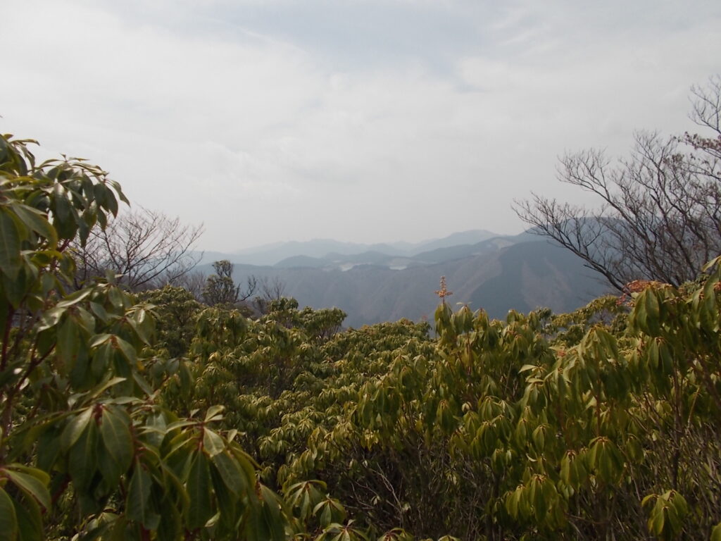 11：55　高星山からアセビ越しに見える景色