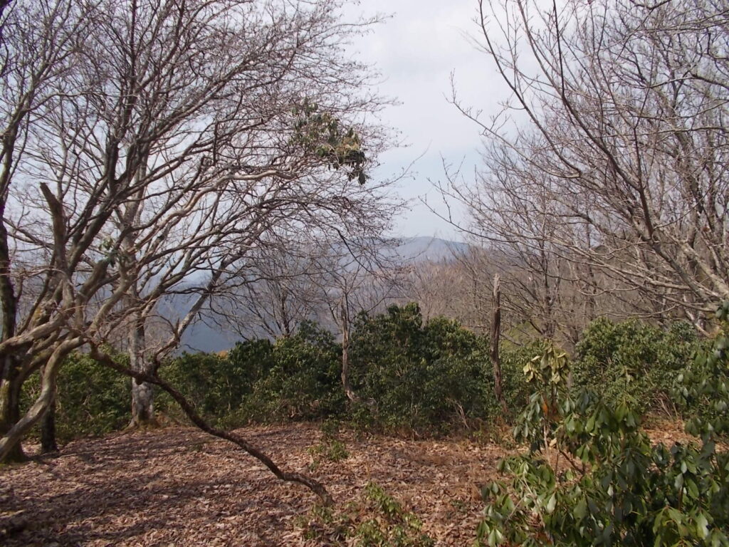 12：52　すこし眺めがよい場所まで戻りました。ここで昼食にしました。