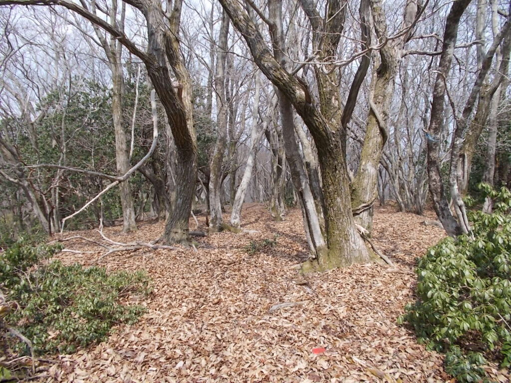 13：04　出発します。