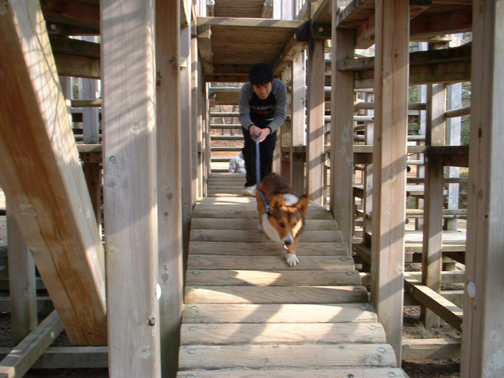 フラワーセンター　20040102