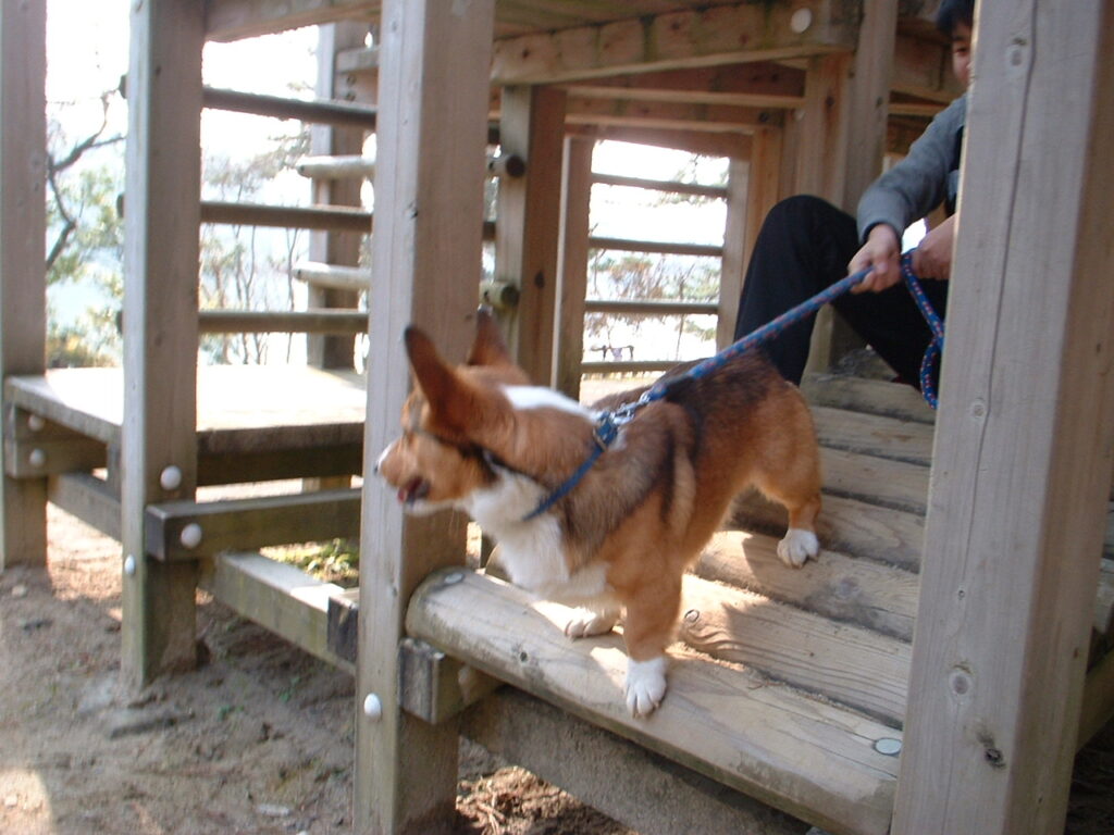 フラワーセンター　20040102