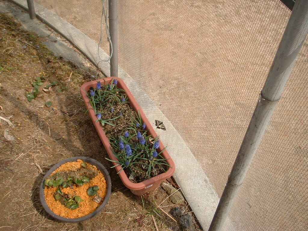 東はりま日時計の丘公園