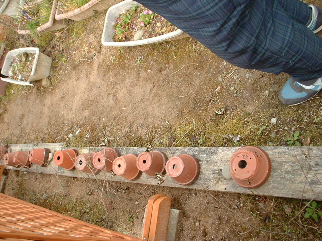 東はりま日時計の丘公園