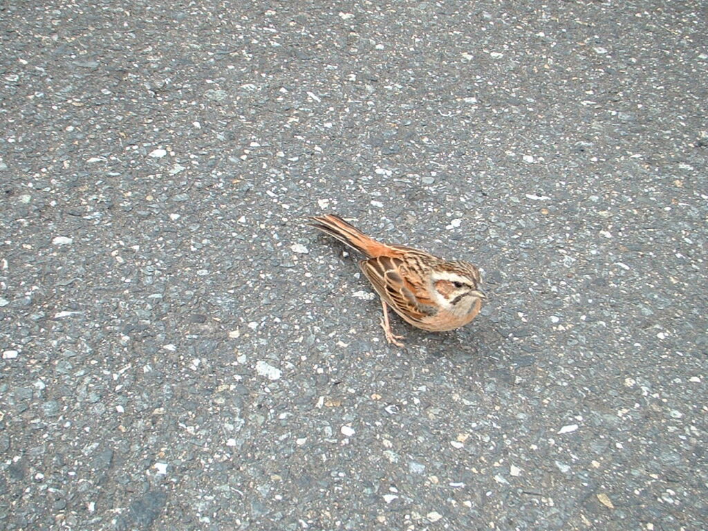 東はりま日時計の丘公園