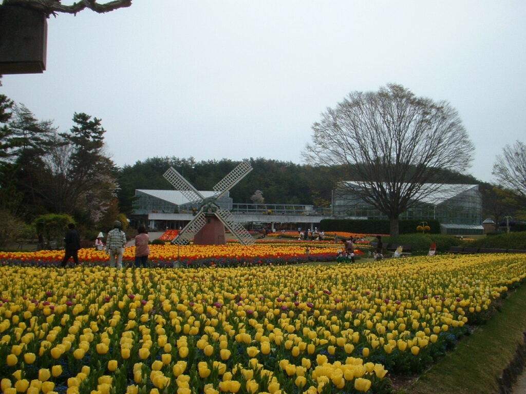 フラワーセンター20070419