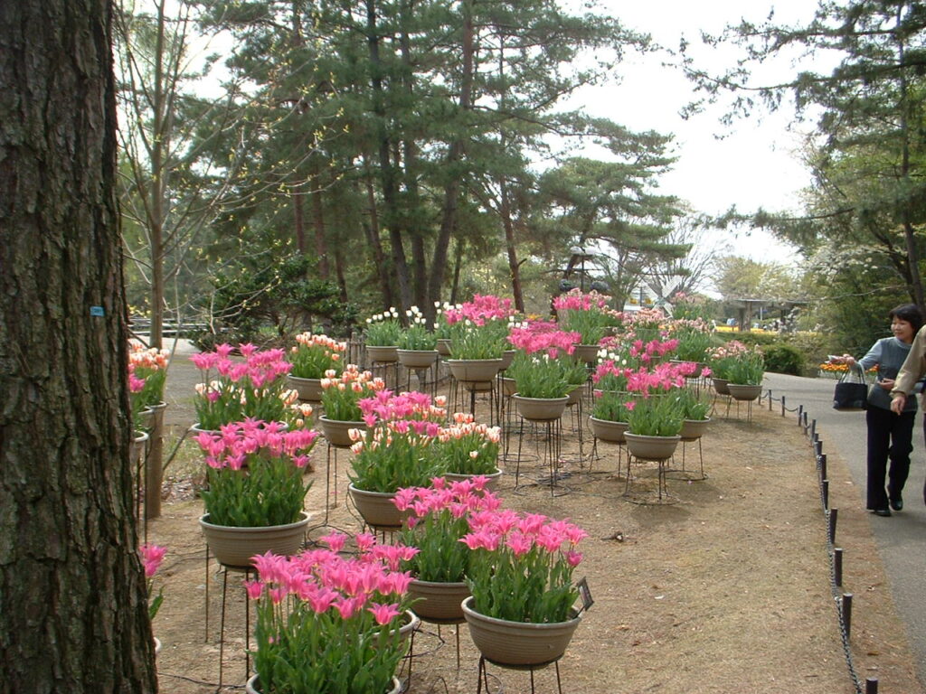 フラワーセンター20070419