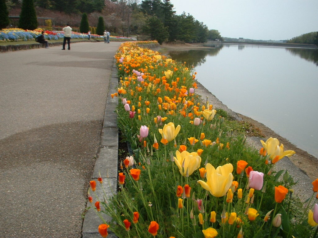 フラワーセンター20070419