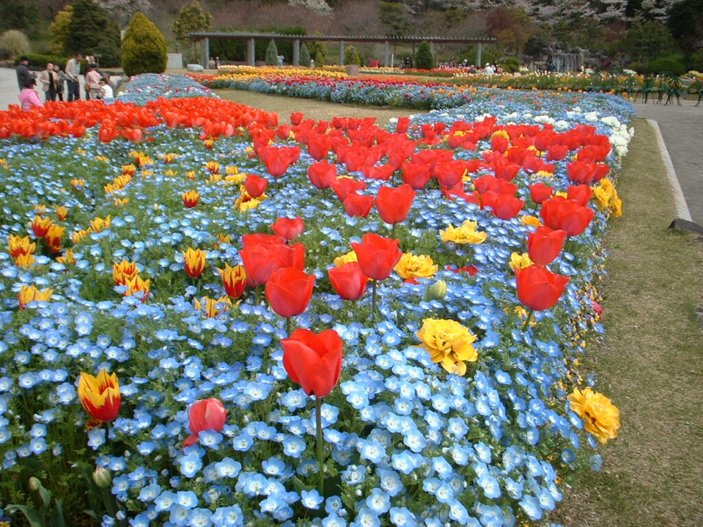 フラワーセンター20070419