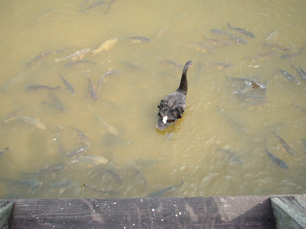 フラワーセンター20070419