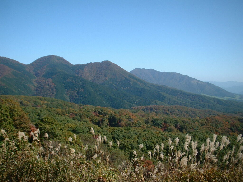 大山滝