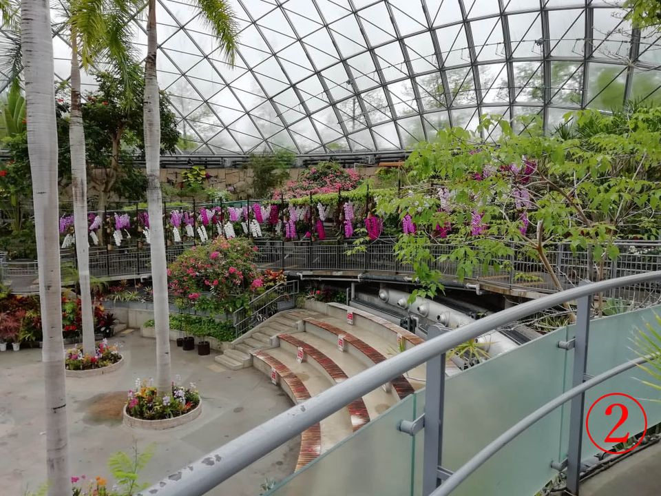 とっとり花回廊