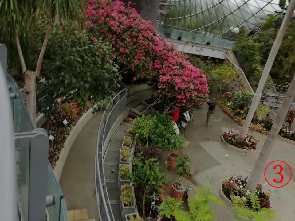 とっとり花回廊