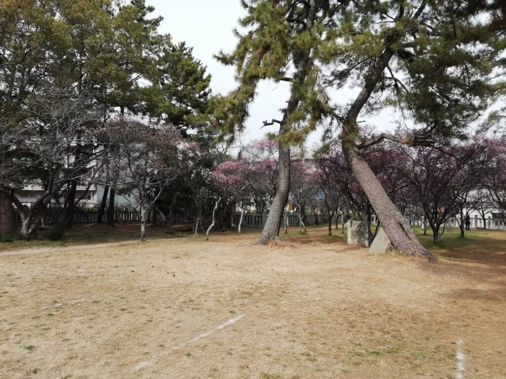 御厨神社の梅
