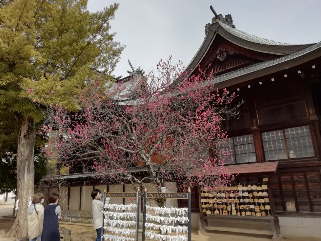 御厨神社の梅
