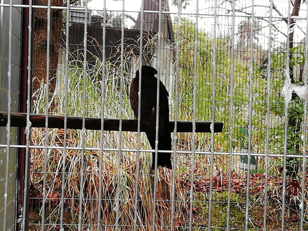 とくしま動物園