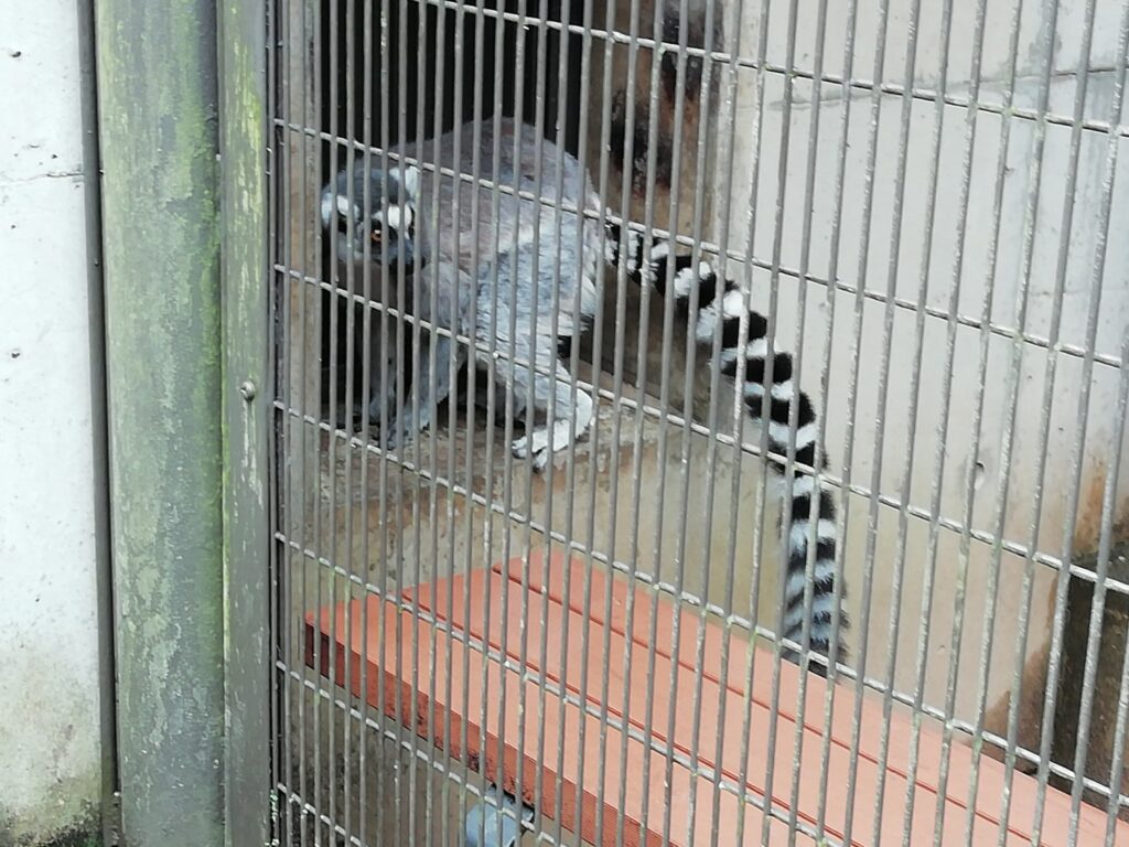 とくしま動物園