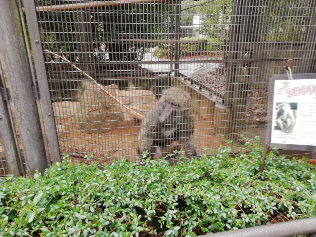 とくしま動物園