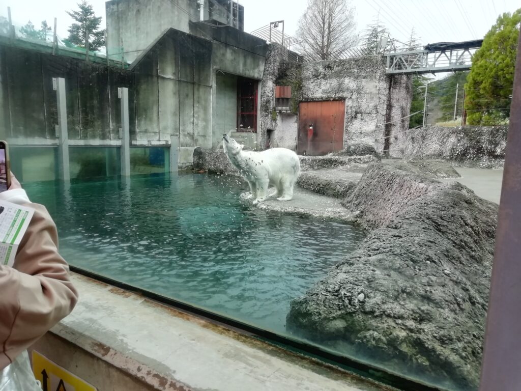 とくしま動物園