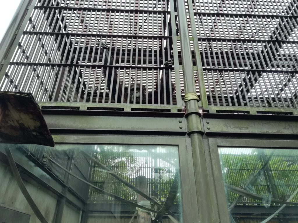 とくしま動物園