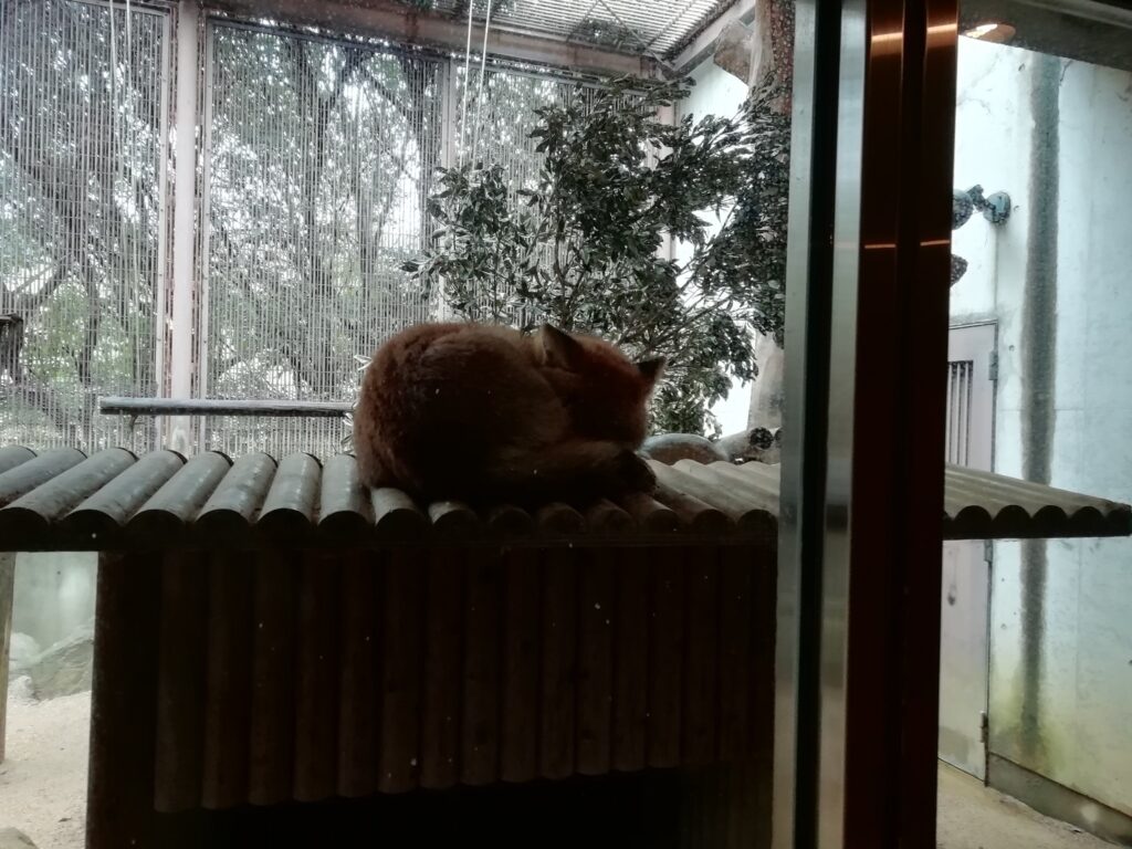 とくしま動物園