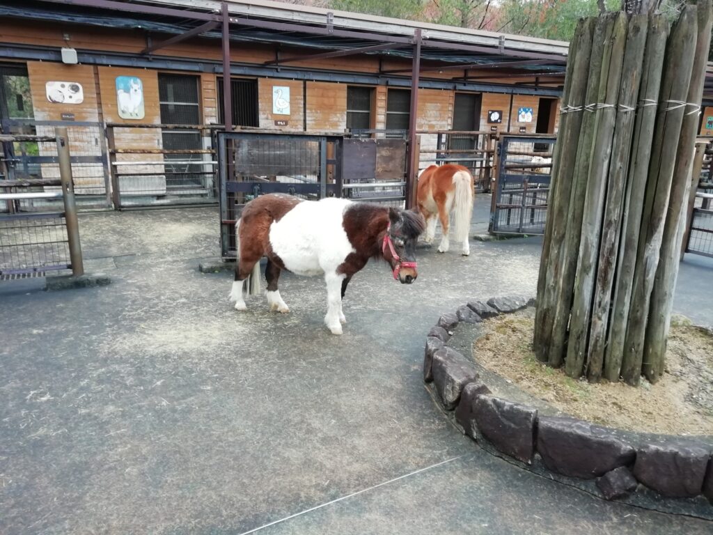 とくしま動物園