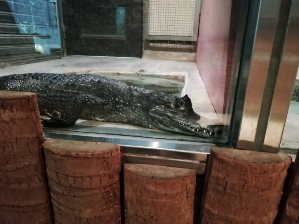 とくしま動物園