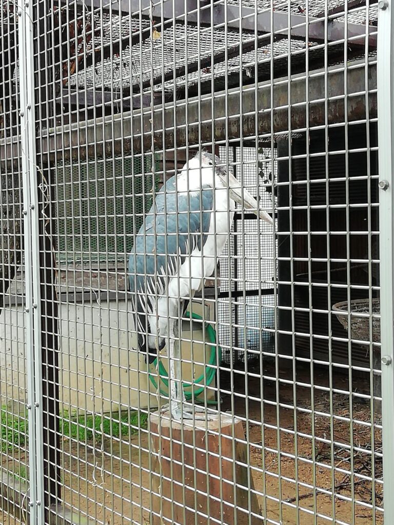とくしま動物園