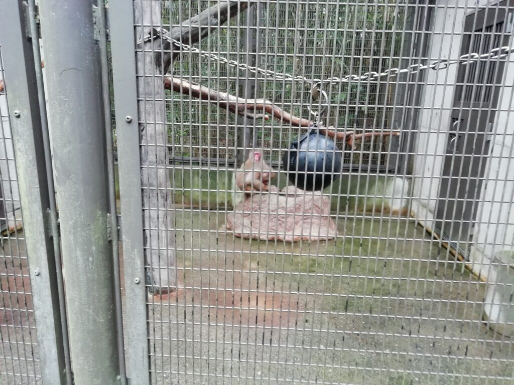 とくしま動物園