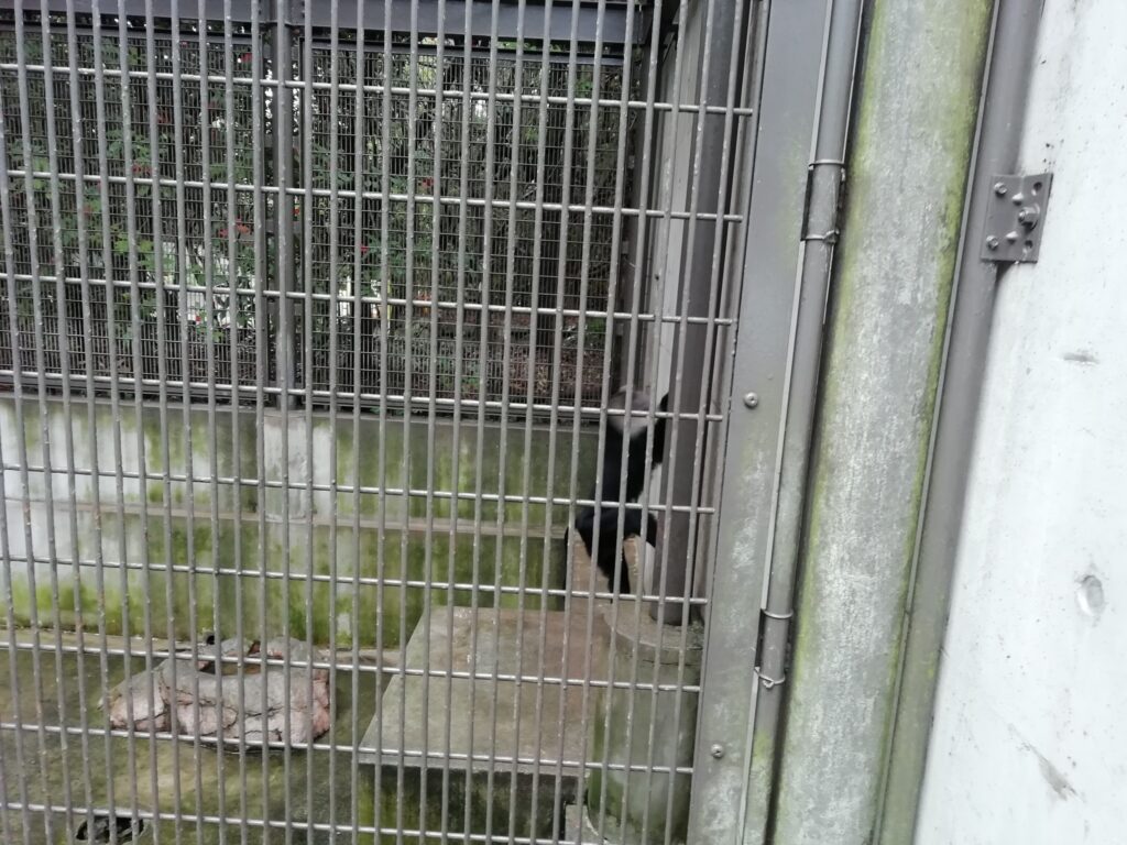 とくしま動物園