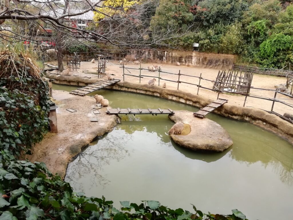 とくしま動物園