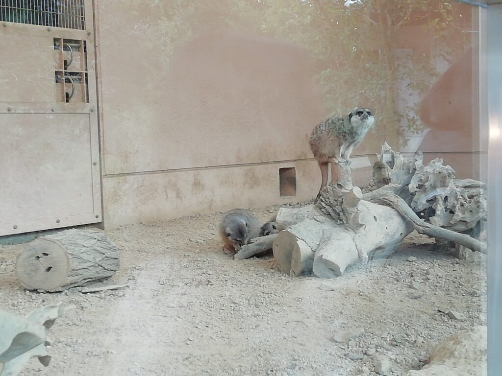 とくしま動物園