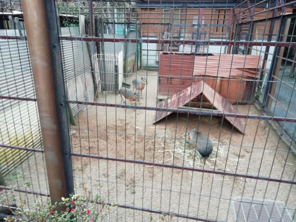 とくしま動物園
