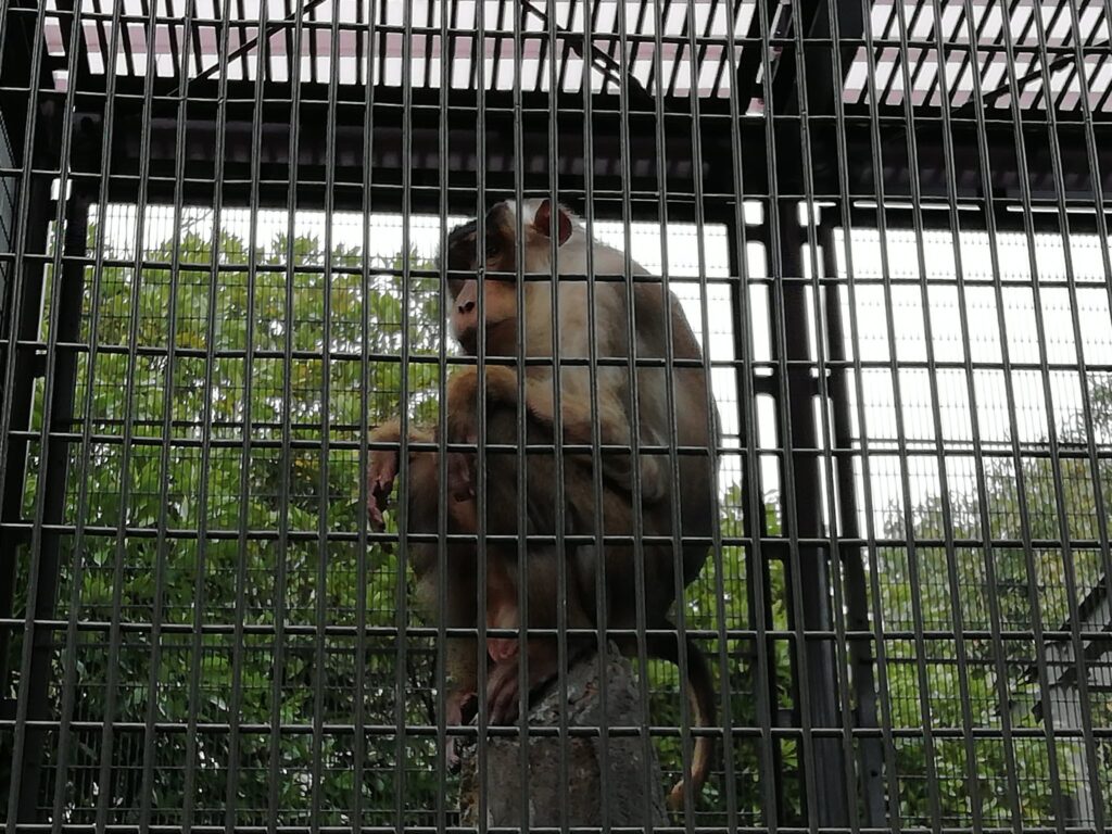 とくしま動物園