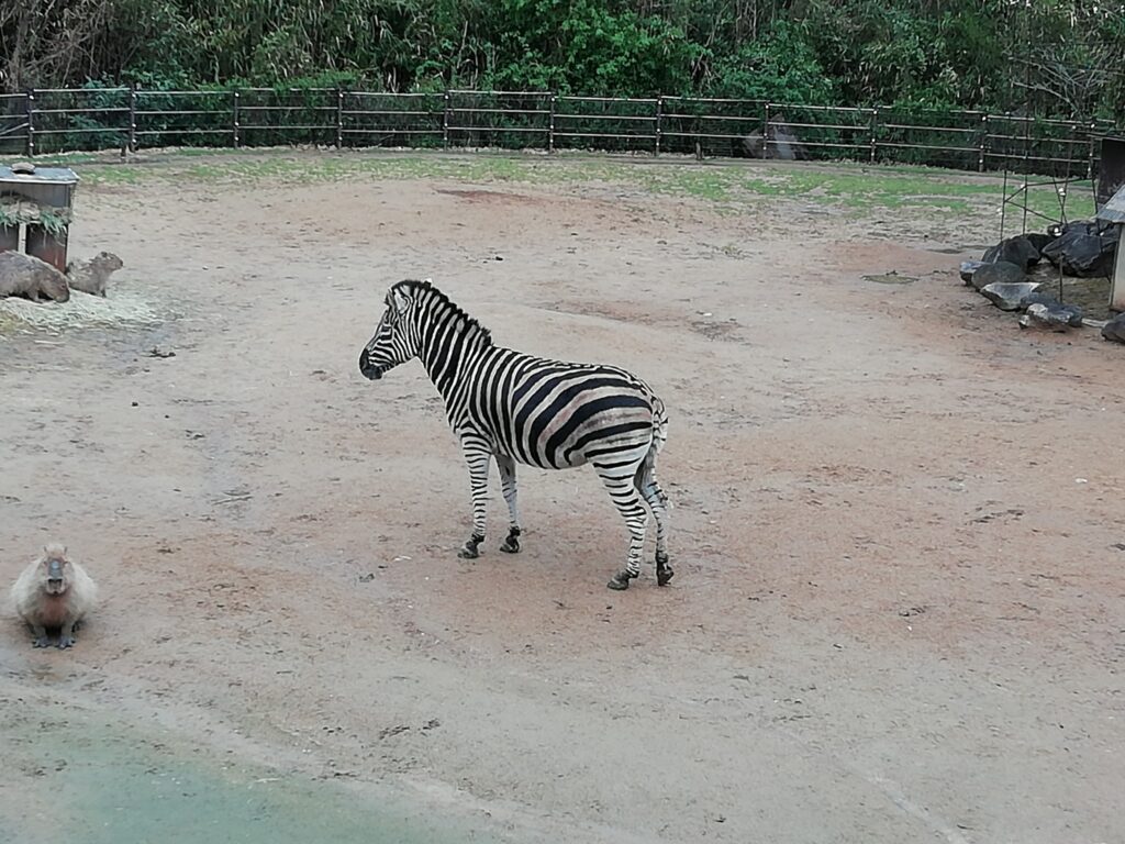 とくしま動物園