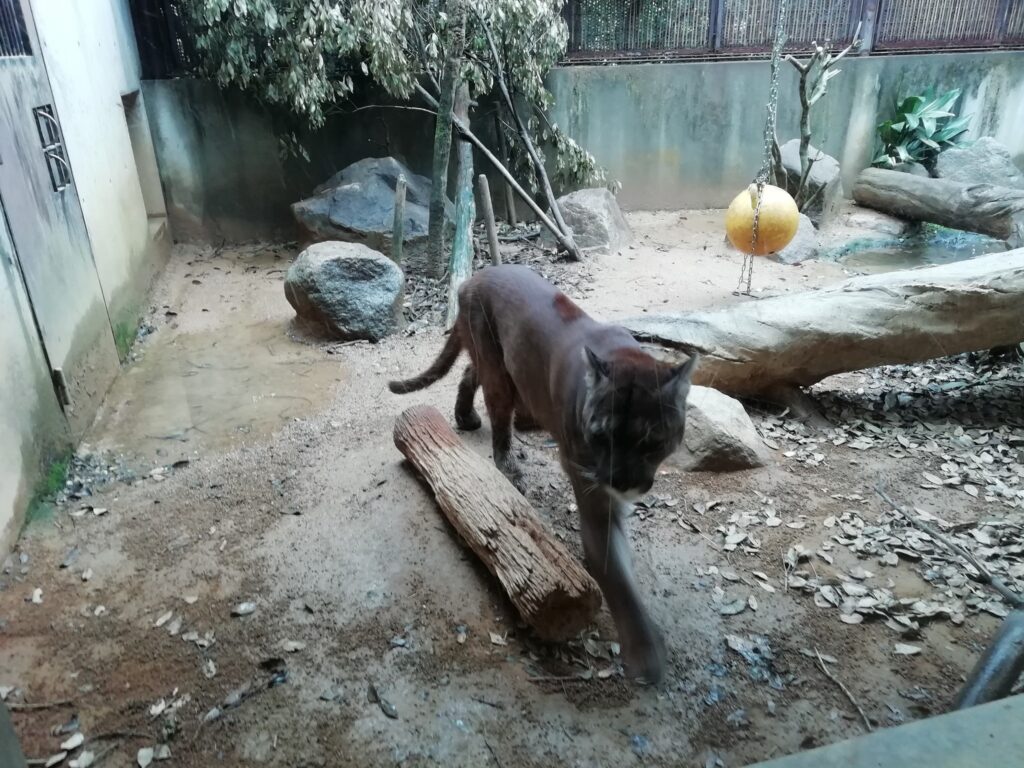 とくしま動物園