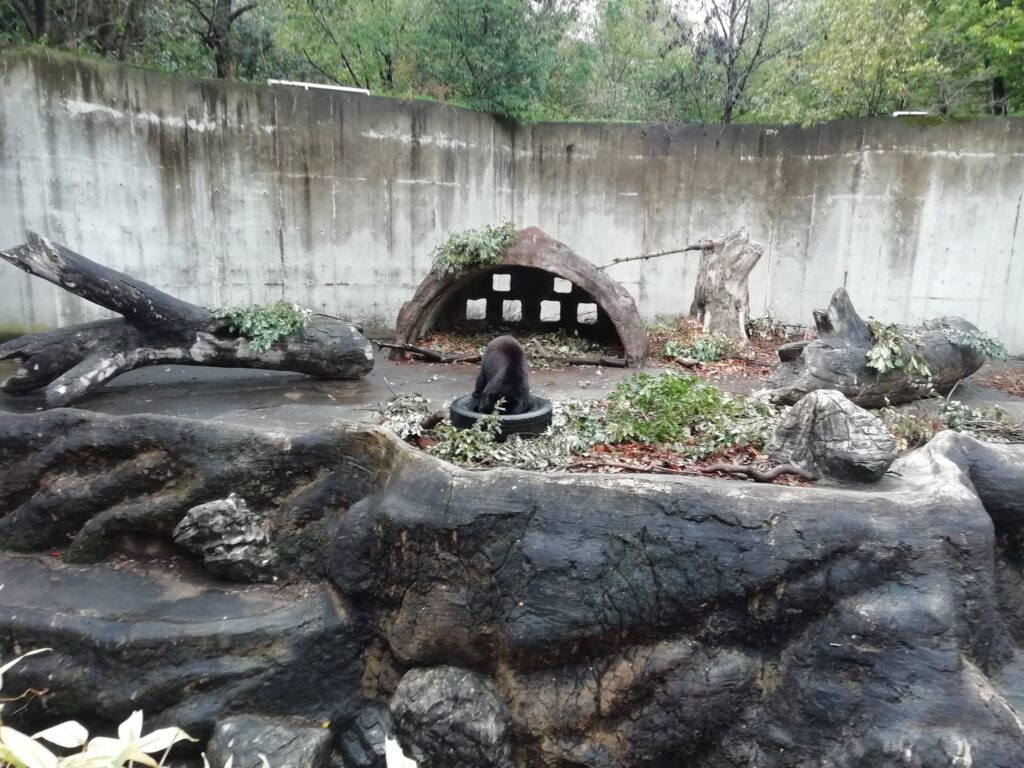 とくしま動物園