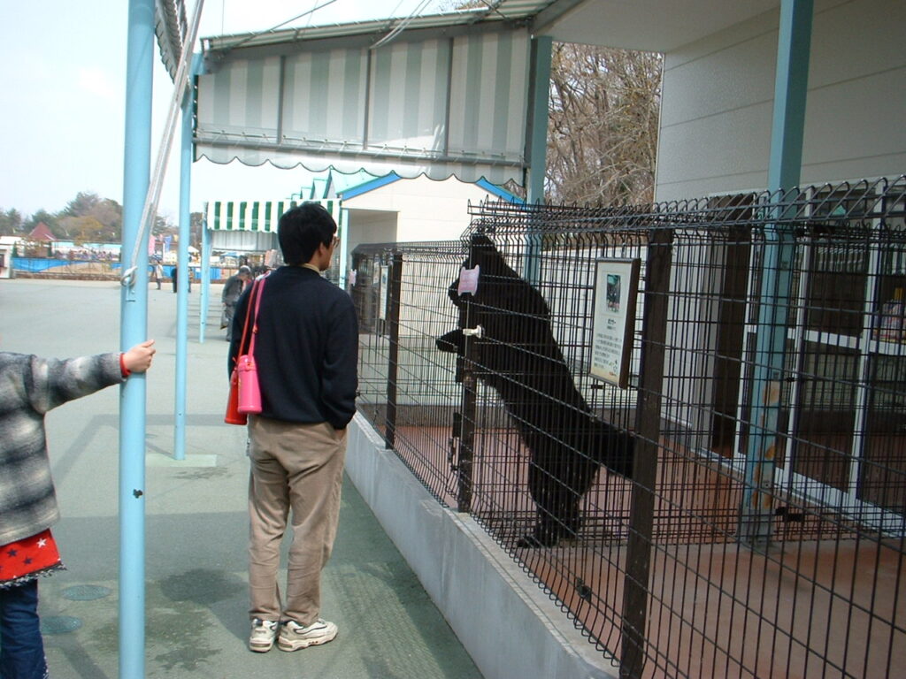 入り口にいた大きな黒い犬。常に暴れていましたが、散歩中は静かでした。