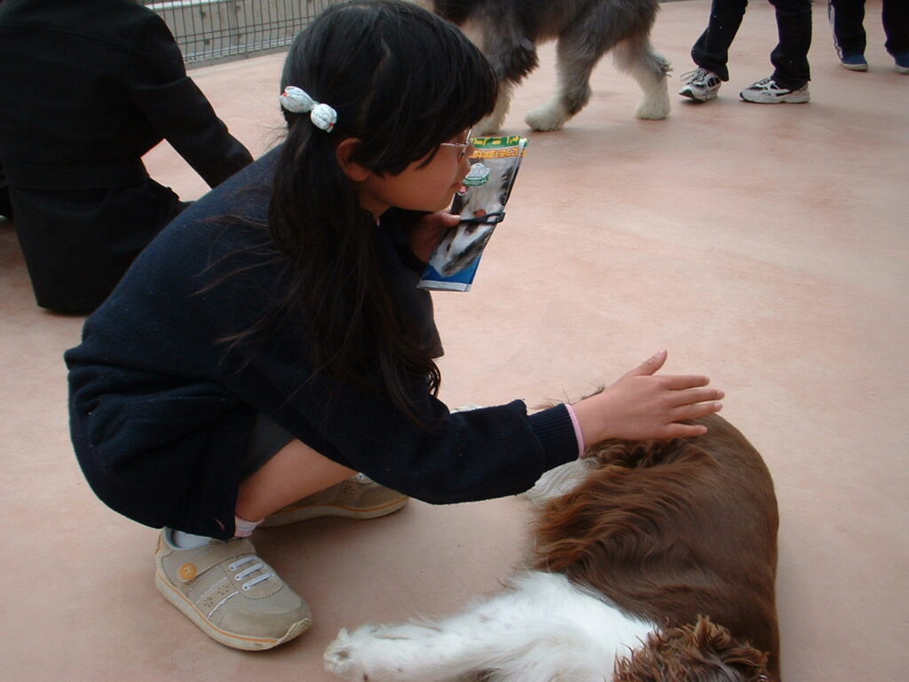 犬たちとふれあい中。